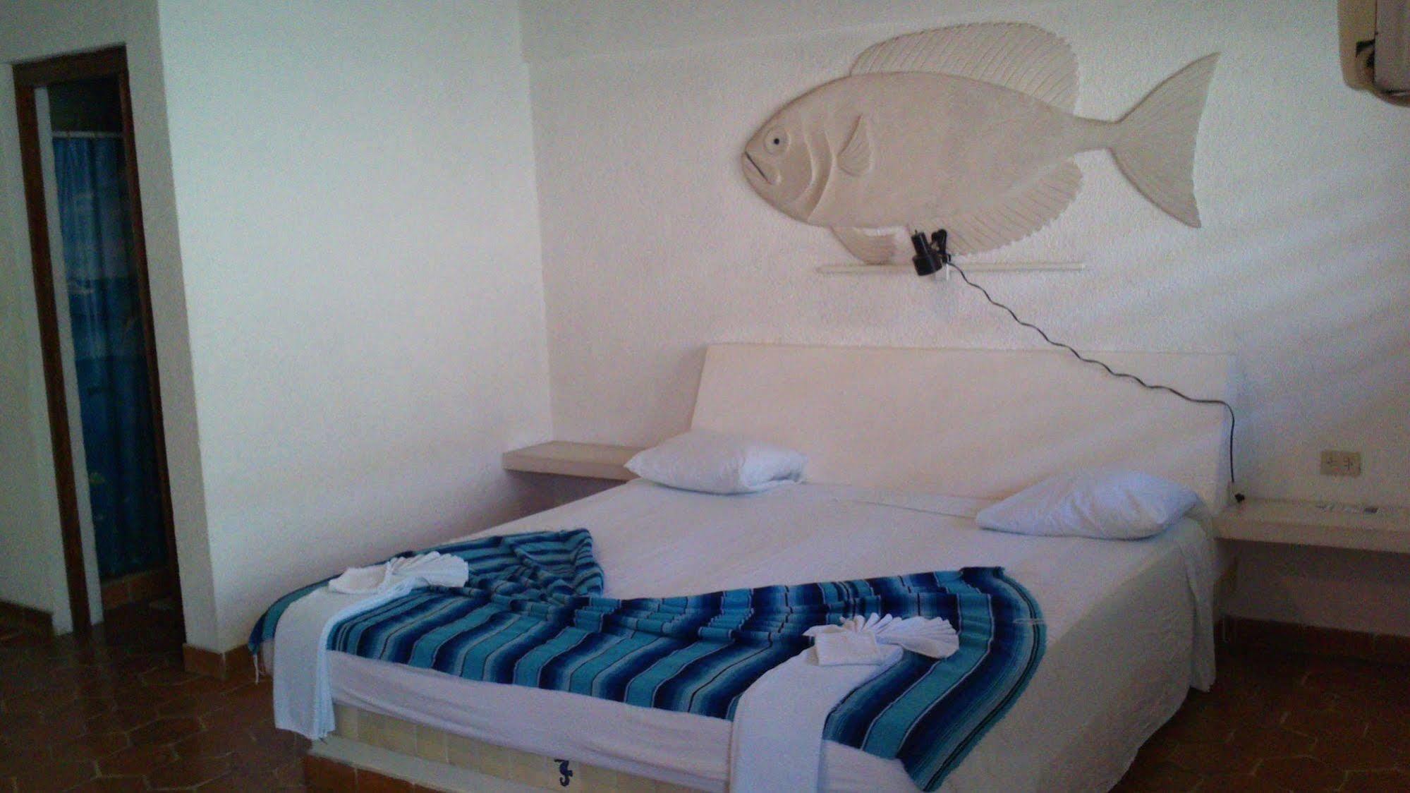 Safari Inn 코수멜 외부 사진