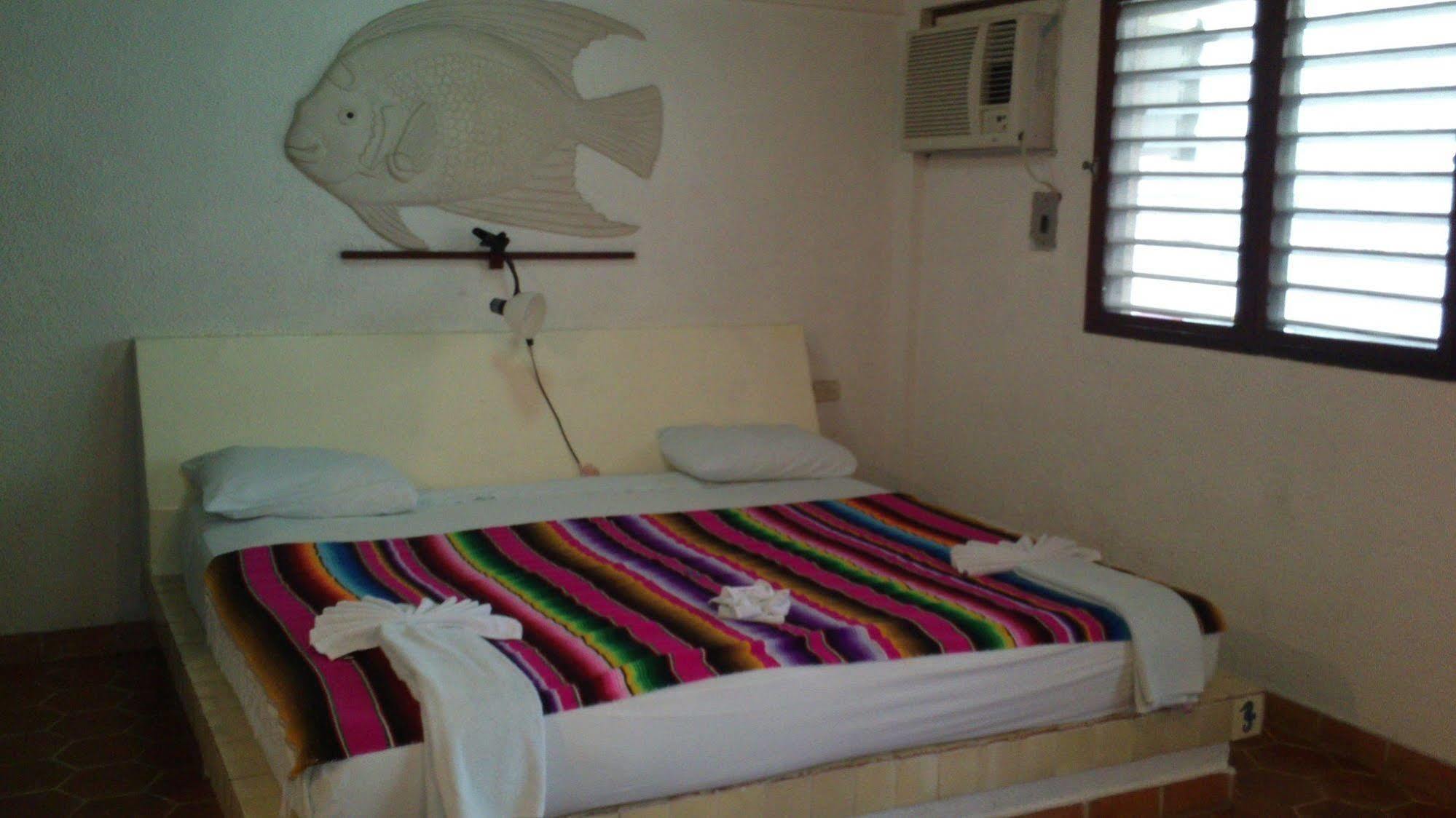 Safari Inn 코수멜 외부 사진